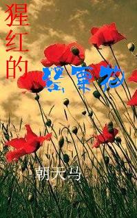 �ɺ����ڻ�����