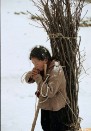 ��ѽ��������������