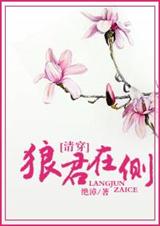 �Ǿ��ڲ�(�崩)����