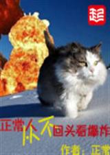 �����˴Ӳ���ͷ����ը����