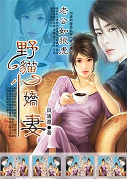 �Ϲ����ǻ�:ҰèС���޷���