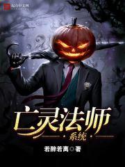 ���鷨ʦϵͳ
