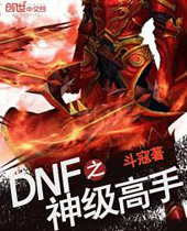 DNF֮�񼶸���