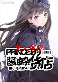 ��HP Prince�Ľ����ӻ������