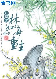 ��¥֮���纣��������