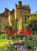 HP�����˼���ĸ����