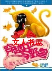 ��ԽŮ��Ұ�޷���