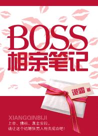 BOSS���ױʼǷ���