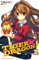 TIGER X DRAGON����