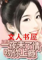 һҹδ����:����������