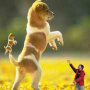 ��������ð��ϵ�з���