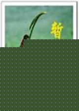 ��ƿ��  ��ѩ����