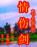 ���˽��ݶ�����