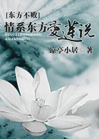 [��������]��ϵ��������˵����